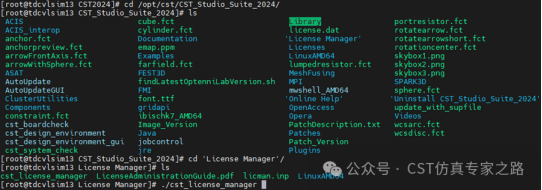 CST在linux系统下如何设置和修改license