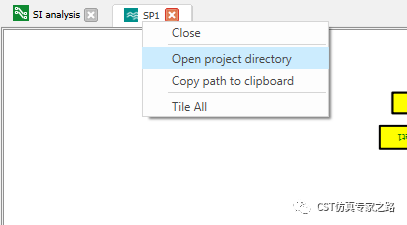 CST如何生成简单通用的IBIS模型文件