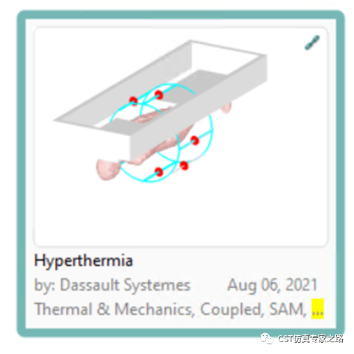 CST仿真案例：熱療Hyperthermia --- 生物模型，血液對流，新陳代謝，多物理