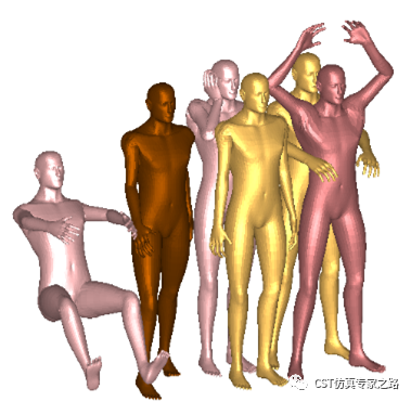 CST软件如何将均匀人体空心2D模型填充3D