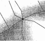 ABAQUS有限元分析修補(bǔ)幾何部件