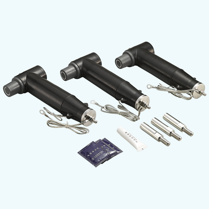 12/24kV 欧式避雷器