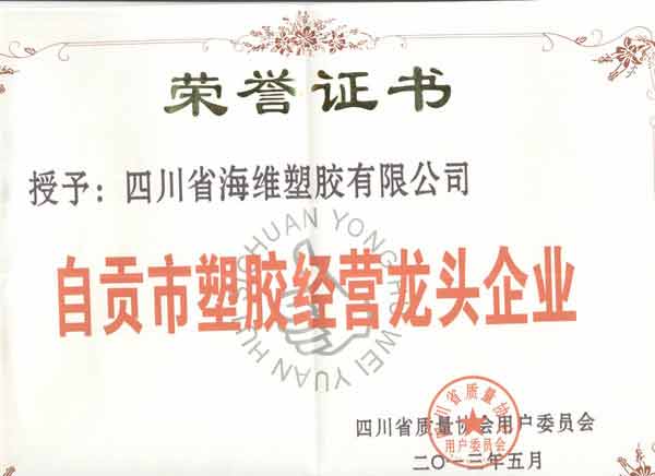 13年塑胶龙头企业